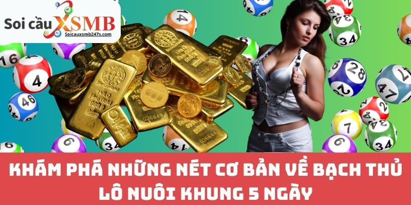 Khám Phá Những Nét Cơ Bản Về Bạch Thủ Lô Nuôi Khung 5 Ngày