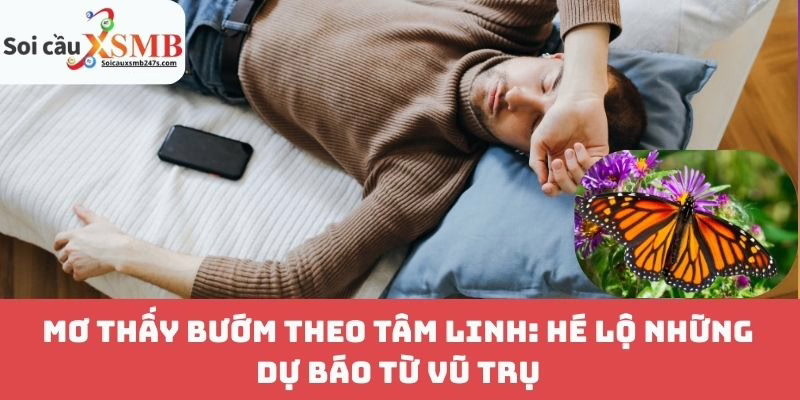 Mơ Thấy Bướm Theo Tâm Linh: Hé Lộ Những Dự Báo Từ Vũ Trụ