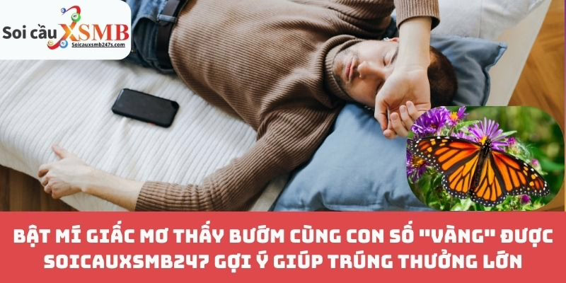 Bật Mí Giấc Mơ Thấy Bướm Cùng Con Số "Vàng" Được Soicauxsmb247 Gợi Ý Giúp Trúng Thưởng Lớn