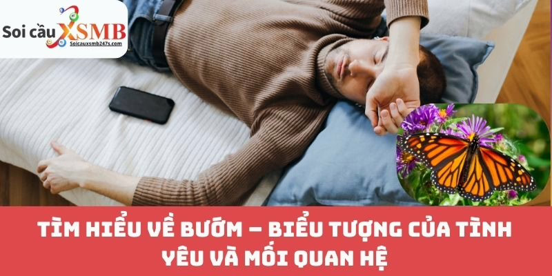 Tìm Hiểu Về Bướm – Biểu Tượng Của Tình Yêu Và Mối Quan Hệ