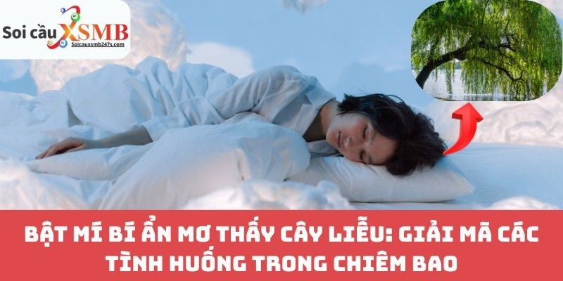 Bật Mí Bí Ẩn Mơ Thấy Cây Liễu: Giải Mã Các Tình Huống Trong Chiêm Bao