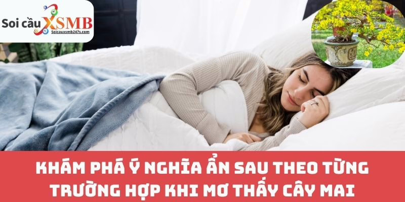 Khám Phá Ý Nghĩa Ẩn Sau Theo Từng Trường Hợp Khi Mơ Thấy Cây Mai