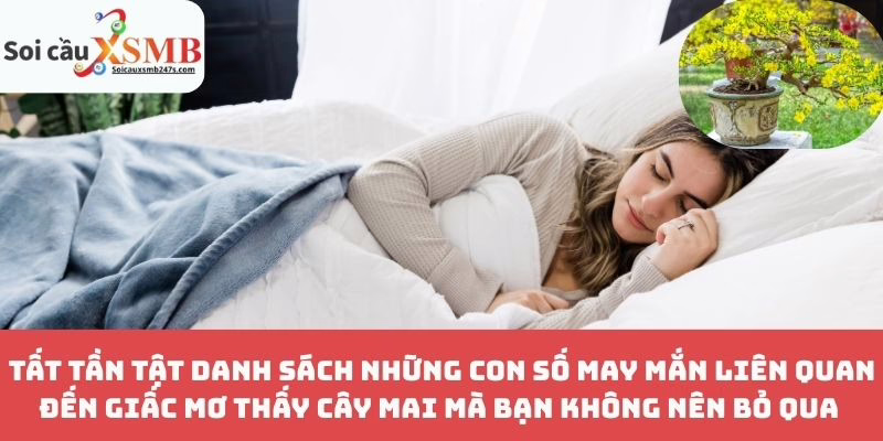 Tất Tần Tật Danh Sách Những Con Số May Mắn Liên Quan Đến Giấc Mơ Thấy Cây Mai Mà Bạn Không Nên Bỏ Qua