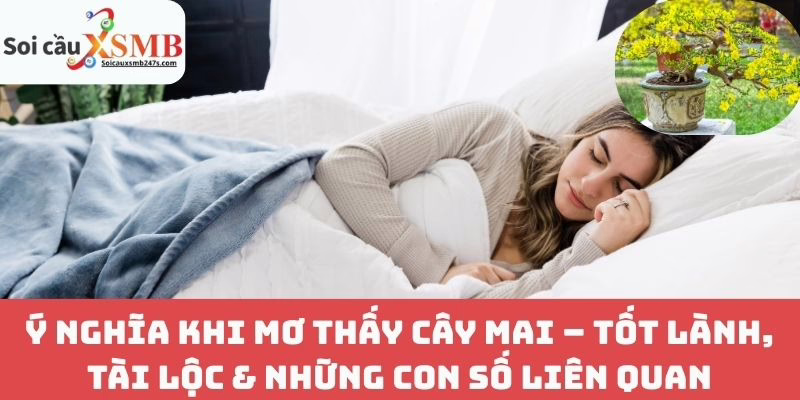 Ý Nghĩa Khi Mơ Thấy Cây Mai – Tốt Lành, Tài Lộc & Những Con Số Liên Quan