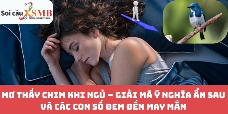 Mơ Thấy Chim Khi Ngủ – Giải Mã Ý Nghĩa Ẩn Sau Và Các Con Số Đem Đến May Mắn
