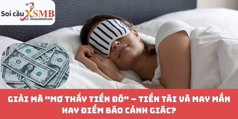 Giải Mã "Mơ Thấy Tiền Đô" – Tiền Tài và May Mắn Hay Điềm Báo Cảnh Giác?