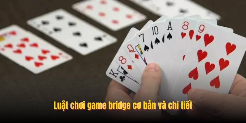 Luật chơi game bridge cơ bản và chi tiết